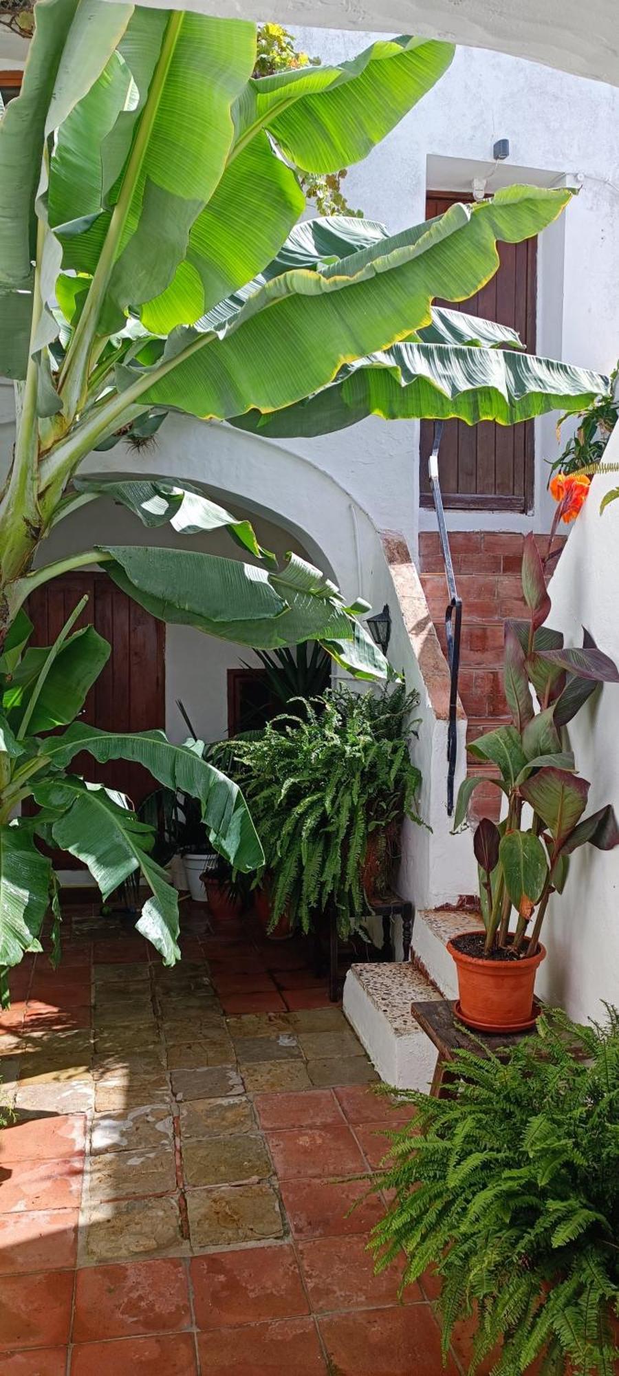 Ferienwohnung The Best In The Center Of Tarifa Exterior foto